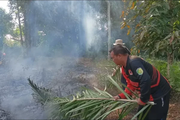 47 Kasus Karhutla Sulutkan 50 Hektare Lahan di Palangka Raya