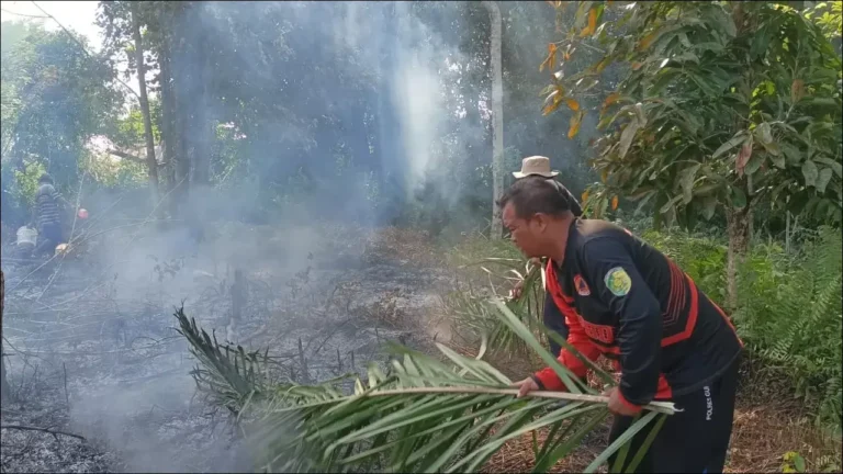 47 Kasus Karhutla Sulutkan 50 Hektare Lahan di Palangka Raya