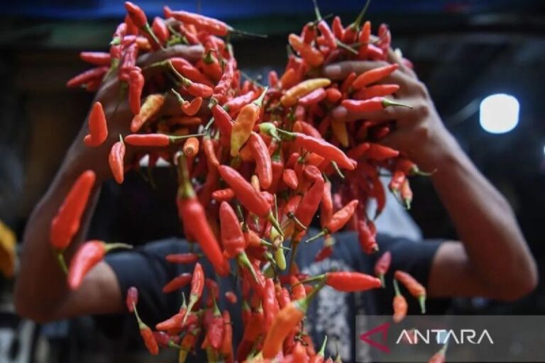 Bapanas: Harga Cabai Rawit Capai Rp42.487 per Kg dan Bawang Merah Rp44.452