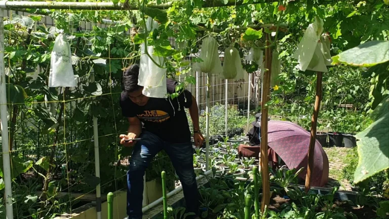 Optimalkan Perkarangan untuk Ketahanan Pangan, Ajakan Kemendes