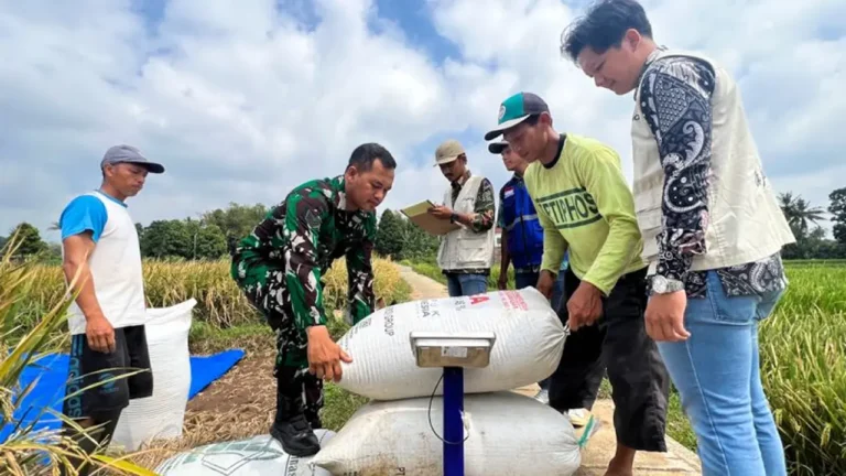 Pemerintah Tegaskan Kebijakan Pro Petani Menuju Kesejahteraan Agraris