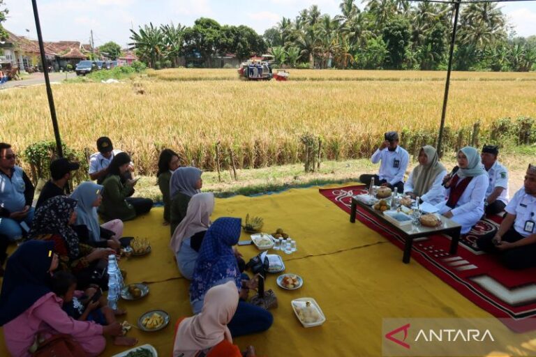 Ucapkan Selamat Hari Tani Nasional 2025 dengan Kata-Kata Ini