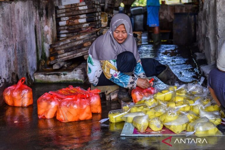 Pemerintah Hapus Pajak Usaha Kecil untuk Dukung UMKM
