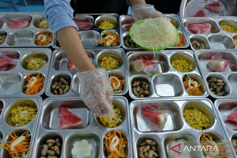 Keberhasilan MBG Tergantung pada Rantai Pasok Domestik Menurut Ekonom