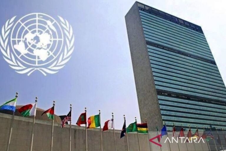 Legislator Dukung Indonesia Memimpin Dewan HAM PBB
