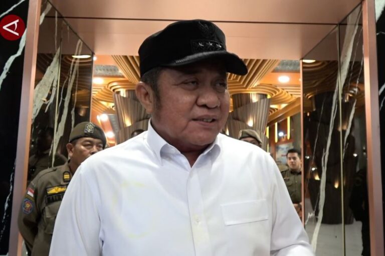 Gubernur Sumsel Tinjau Akses Angkutan Batu Bara ke PLTU Bengkulu