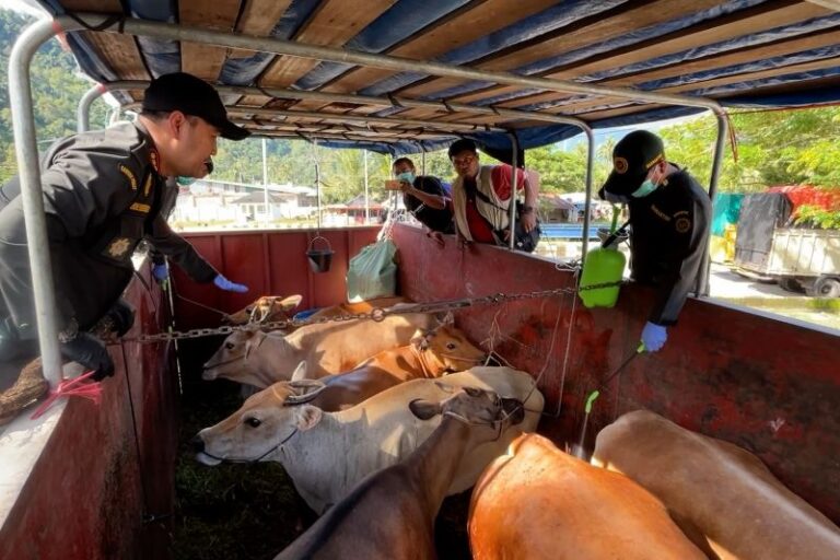 BKHIT Perketat Pengawasan Distribusi Hewan Kurban ke Mentawai