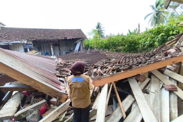 [original_title]
