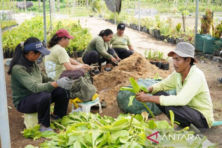 Pengembangan Pembibitan Tanaman di Bali Dukung Pariwisata Hijau